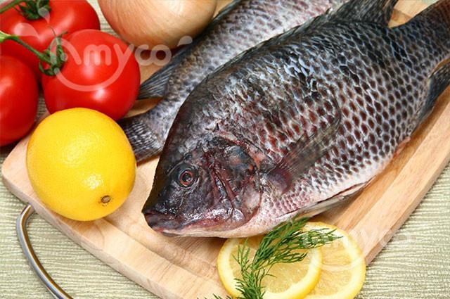 black-tilapia_副本.jpg