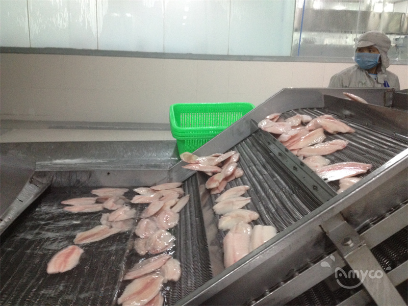 Tilapia Fillets workshop (8).jpg