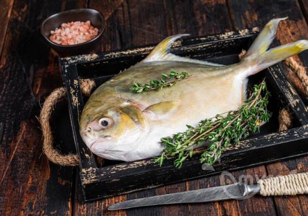 The Golden Delicacy: Golden Pompano